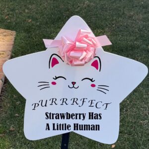 Blue or Pink Cat Sign