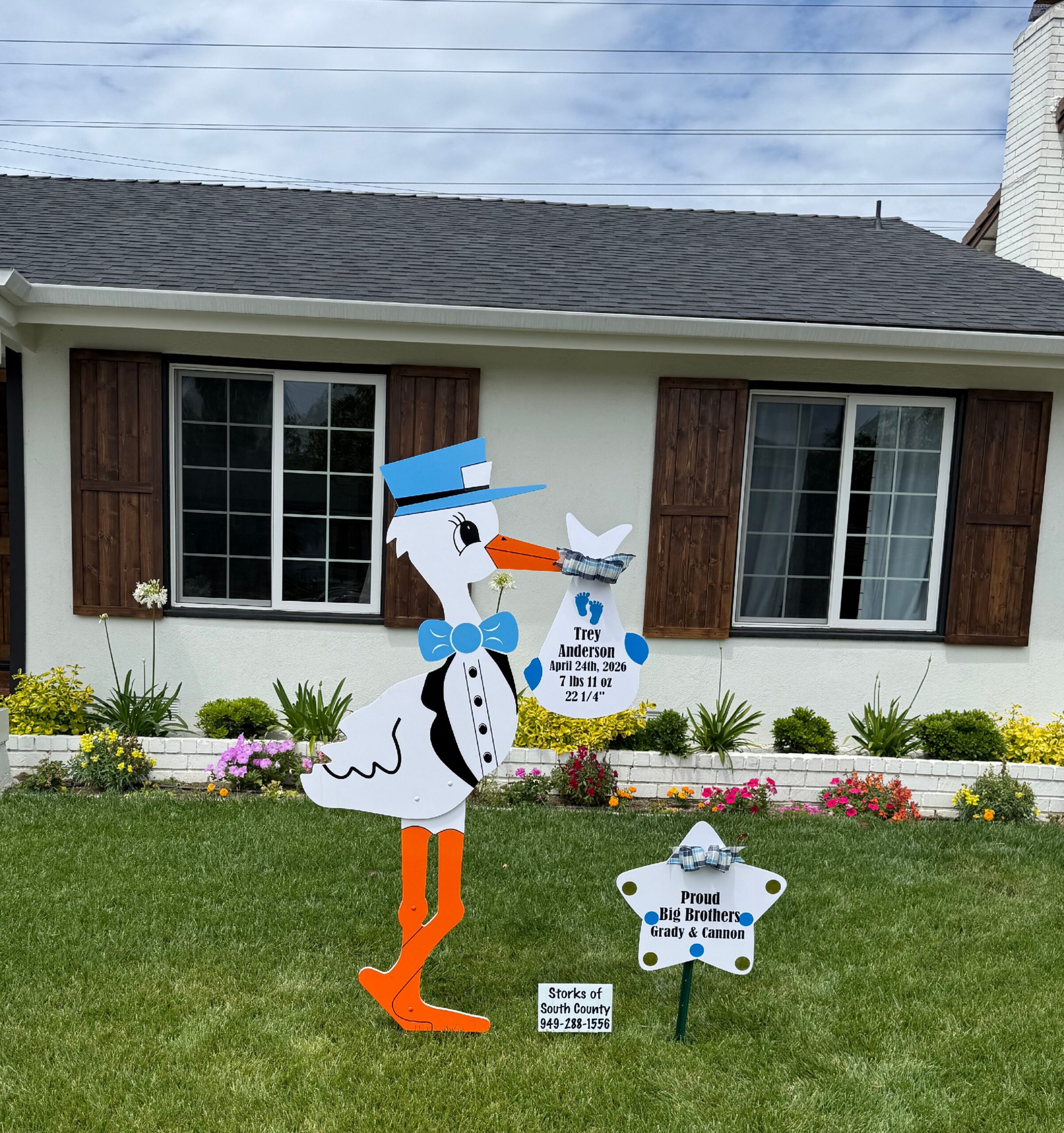 Single Blue or Boy Stork - Birth Announcement Sign - Image 4