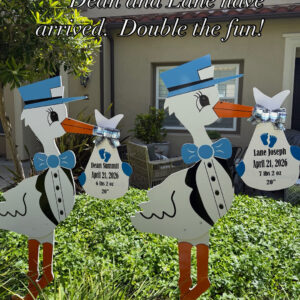 Twin Stork Yard Signs