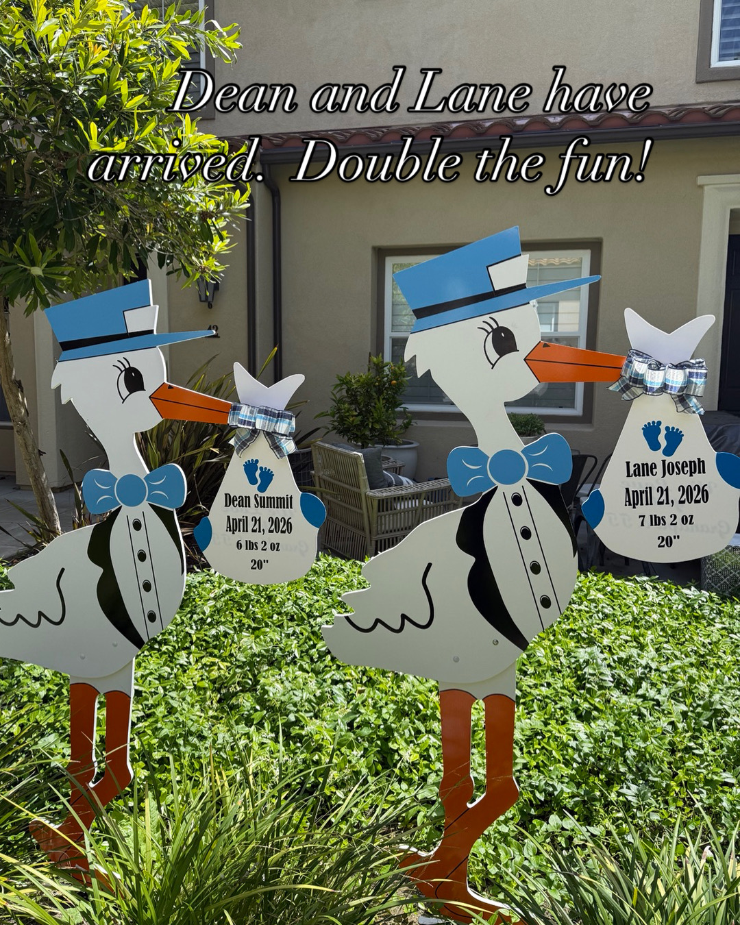 Twin Stork Yard Signs