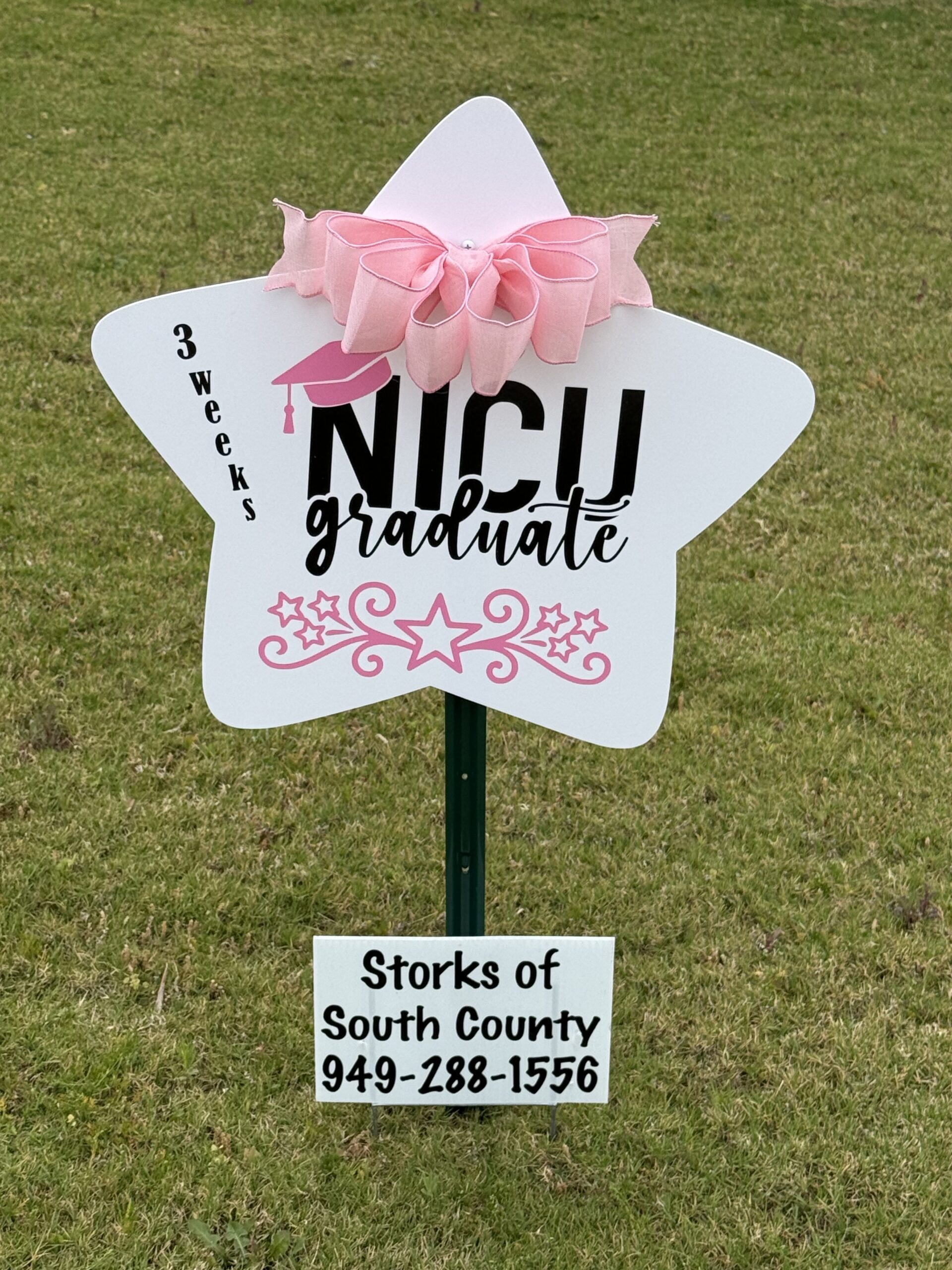 NICU graduation signs - Image 2
